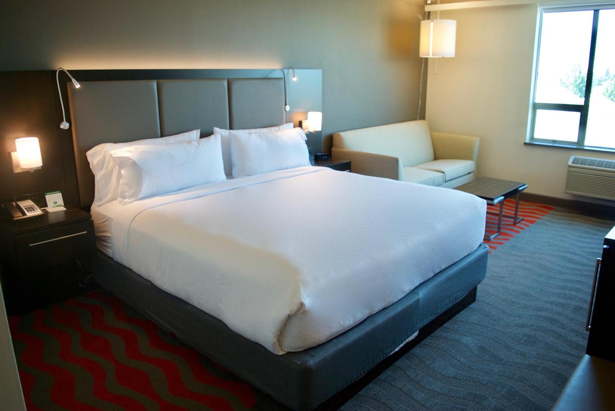 Standard King Room Sofa Bed,1708066743:JPEG